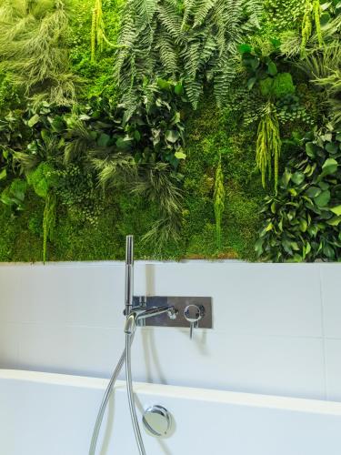 MiHotel Sala - image 5