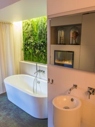 MiHotel Sala - image 13