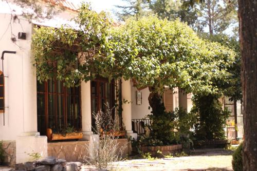 B&B San Esteban - Hosteria y Cabañas Los Mimbres - Bed and Breakfast San Esteban