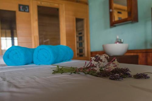 Cinque Colori Bed & Breakfast- Spa