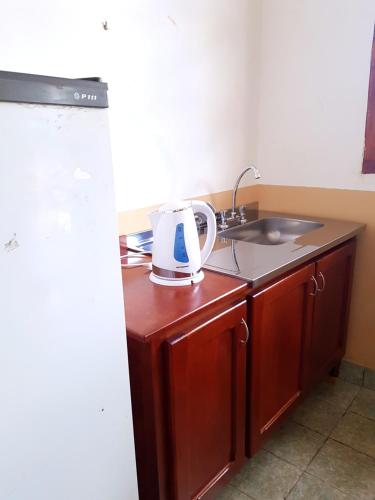 Hopedaje Felisa in กาฟายาเค โตลอมบอง