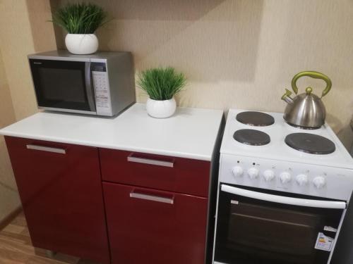 Apartment for comfort in the city center 85