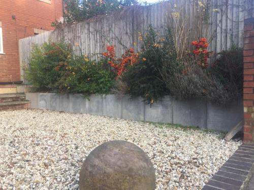 Riverside Rooms - image 11