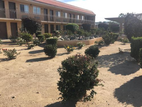 Budget Lodge San Bernardino 2