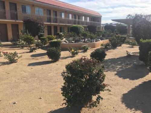 Budget Lodge San Bernardino 3