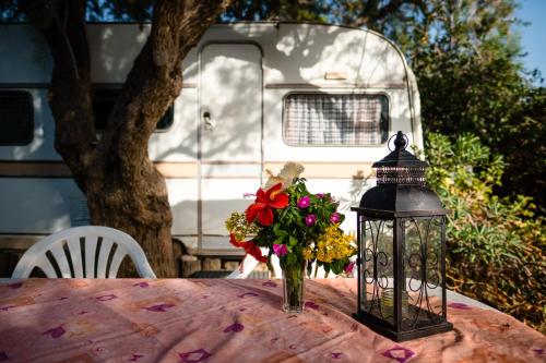Camping Elizabeth