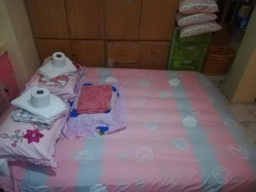 Arlleane Sidney's Relaxation Home Master's Pink Bed Room in Manaoag