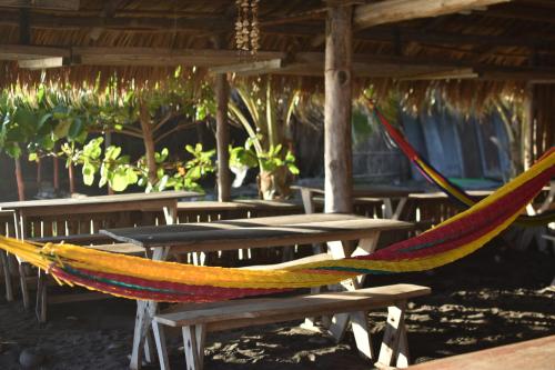 Pelicano Surf Camp in La Libertad