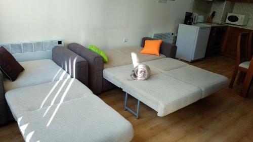 Pine Tree Apartment 2 - B7, Bansko (foto 8)