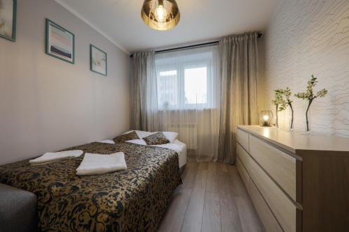 ザコパネ RentPlanet - Apartament Koscielna 3つ星 シングルルーム プール