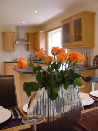 ArdMullen Townhouse X Davitt's Guesthouse & Restaurant Kenmare in Pairc Na Gloine
