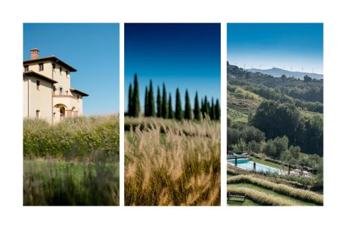 Casale Podernovo - image 2