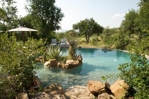 Impodimo Game Lodge