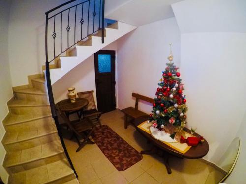 Apartments Radingturs - image 11