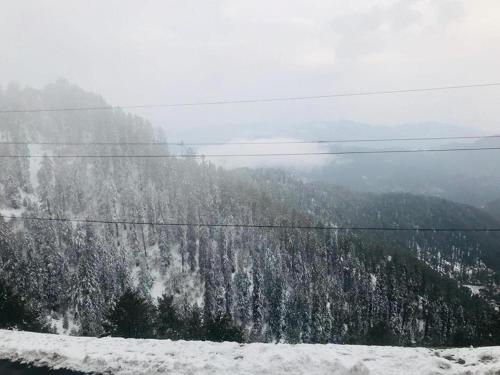 Shangrila Hotels & Resorts Changla Gali