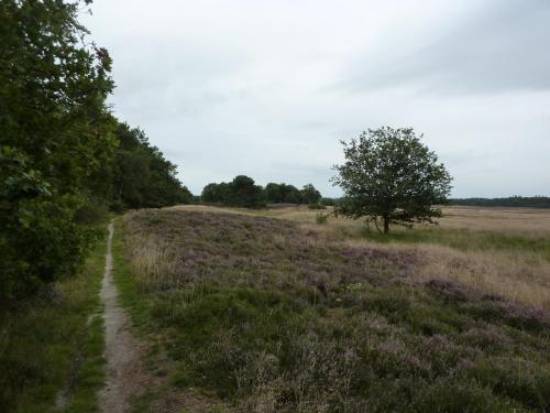 Wapen van Exloo - image 8