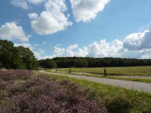 Wapen van Exloo - image 11