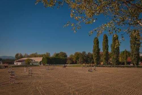 Podere Violino - image 4