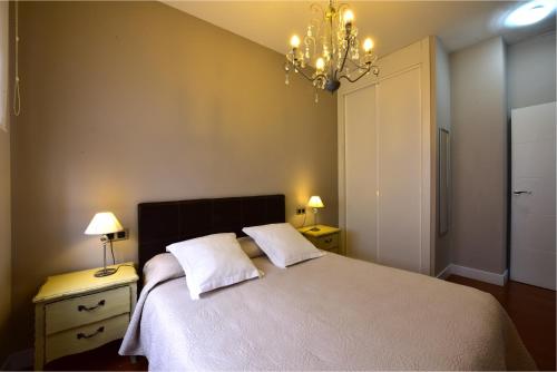 Salamanca Centro Apartamentos - image 6