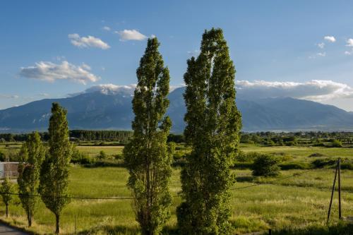  Niriides Studios and Apartments in Paralia