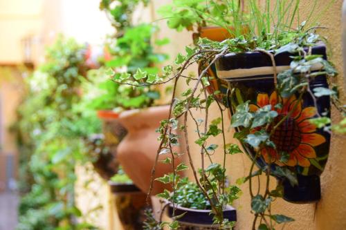 Terra cotta clay pots at a garden center in San Miguel de Allende