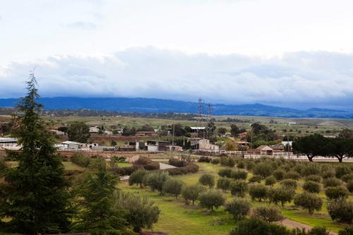 Purple Orchid Resort & Spa - image 4