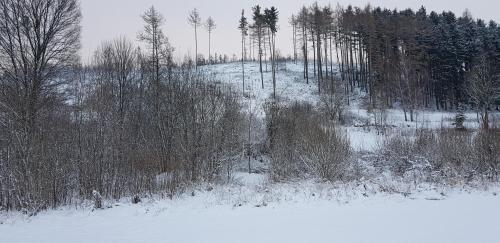 Chata Na Kovárně - image 11