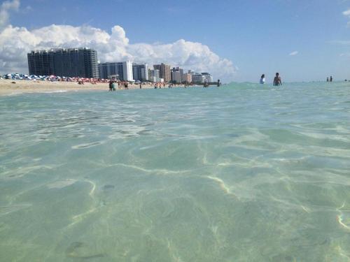 2 Bedroom Condo on Collins Ave - image 41