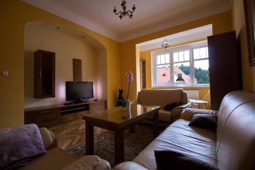 Apartamenty Centrum, Szklarska Poręba (photo 3)