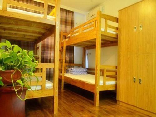 Bed in 4-Bed Dormitory Room image 5
