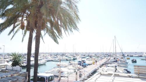 Spacious 3 Bedroom 2nd Line Beach Apartment Marbella Center - image 3