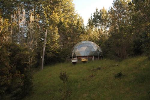 La Casita del Bosque