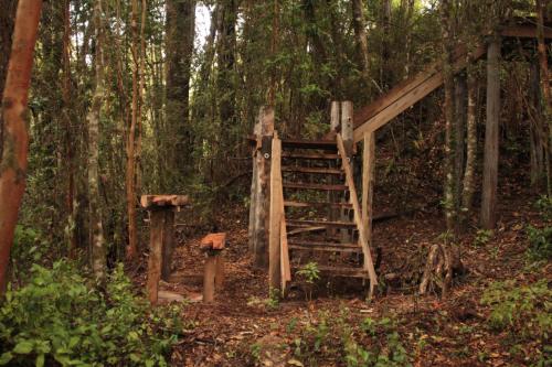 La Casita del Bosque