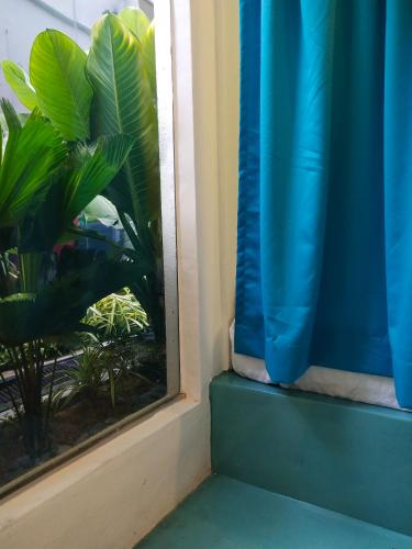 Foto - Beds In Garden Hostel