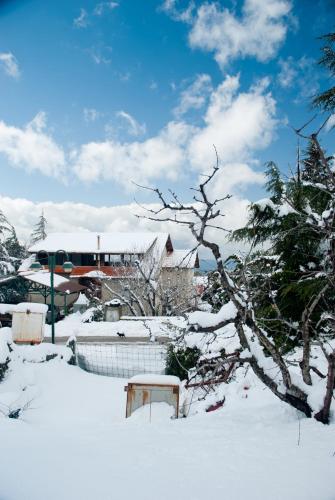 House On The Mountain