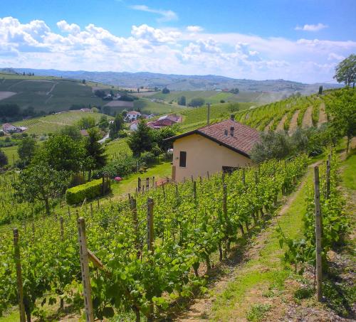  Cascina tra i vigneti a Nizza Monferrato in Nizza Monferrato