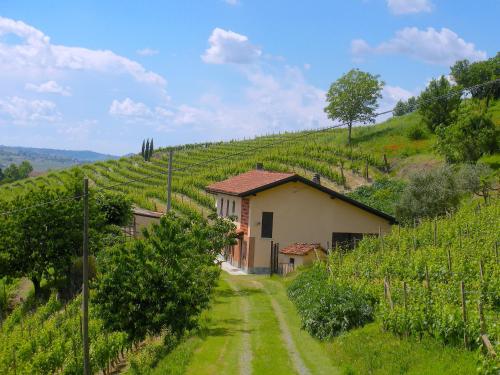 B&B Nizza Monferrato - Cascina tra i vigneti a Nizza Monferrato - Bed and Breakfast Nizza Monferrato