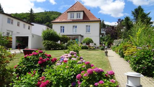 B&B Bad Harzburg - Ferienwohnung Loma - Bed and Breakfast Bad Harzburg