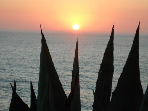 Sol Dourado - image 9