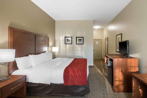 Comfort Inn & Suites Cedar Hill Duncanville - image 9