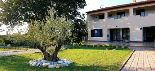  Appartement Peladina in Valtura