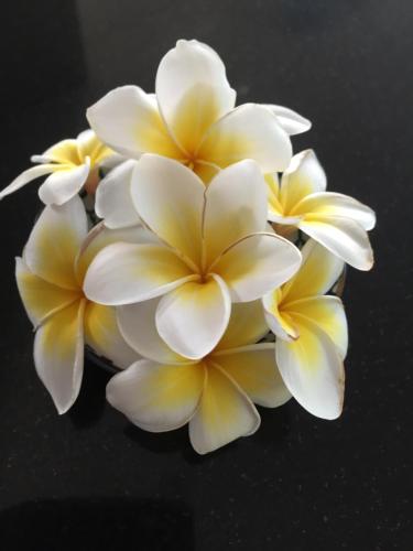 貝拉海濱公寓