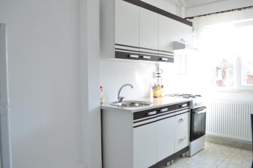 Alexys Residence 4 - Apartment - Iaşi