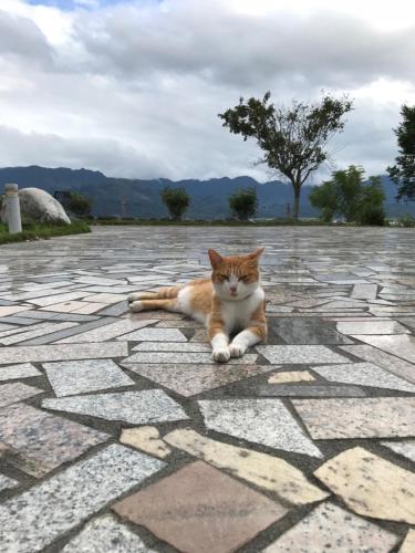 旭日山庄民宿  旭日山庄民宿