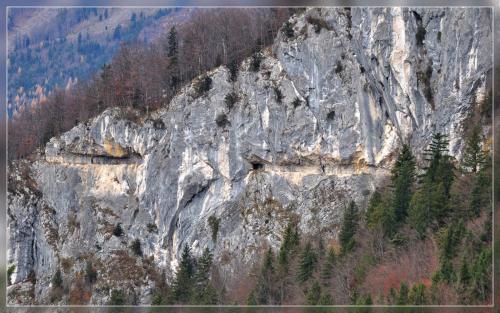 Hostel Bad Goisern - image 7