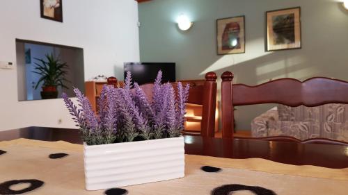 Apartment Cobanija - image 5