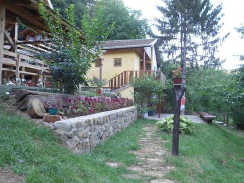 Apartments Borove Noci - image 6