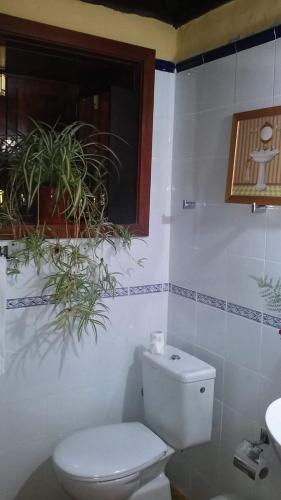 Casas Rurales Los Marantes