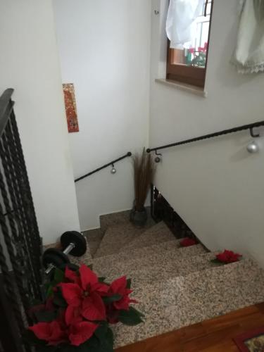 Villa Curti, Rome (photo 6)