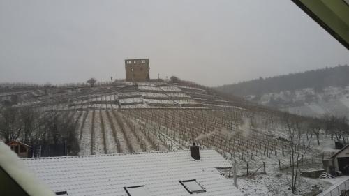 Giebelzimmer mit Weinbergblick